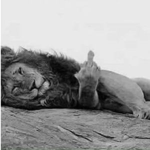 Meet your Posher, Randell